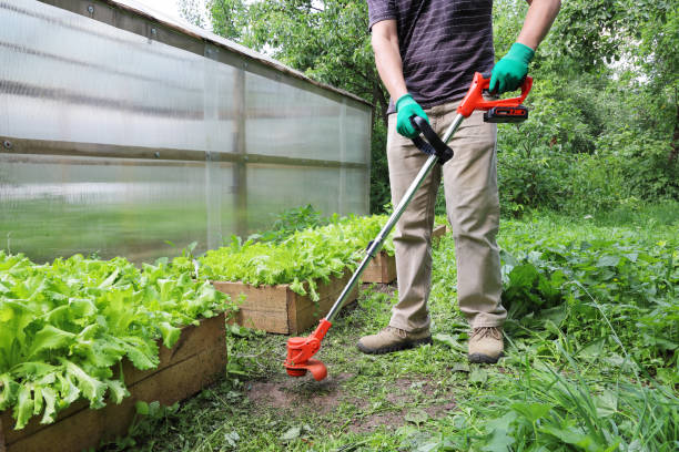 files/istockphoto-1369649201-612x612.jpg